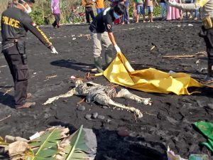 Mayat Tak Beridentitas Ditemukan di Pantai Watu Pecak