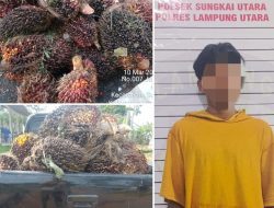 Dalam Sehari Dua Pelaku Curat Di Sungkai Utara Diamankan Polisi