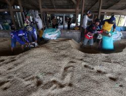 Kemendagri Meminta Pemda untuk Turun ke Lapangan Mengawasi Kenaikan Harga Beras dan Minyak Goreng