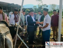 Wakil Bupati Lampung Barat Laksanakan Sholat Idul Adha dan Serahkan Hewan Kurban kepada Masyarakat Pekon Suka Makmur