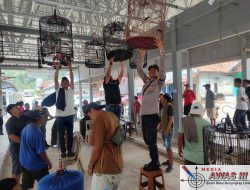 Polsek Sumberjaya Polres Lampung Barat Gelar Lomba dan Pameran Burung Berkicau dalam Rangka Hari Bhayangkara ke-79