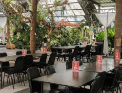 Di Sleman Jogja ada resto khusus hidangan jamur, menjadi langganan wisatawan, hanya 1 jam dari Klaten