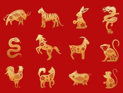 Berhasil Tak Terduga! 3 Shio Ini Siap Menuai Uang dan Kekayaan dalam Waktu Dekat