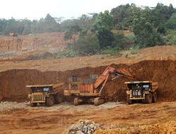 Kekbobolan Data Ekspor Nikel ke China?