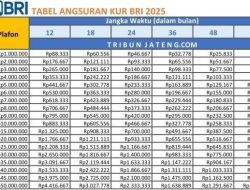 Pinjam Uang Rp40 Juta dengan KUR BRI 2025 untuk Modal Usaha Mudah, Anda Cukup Penuhi Syarat Ini