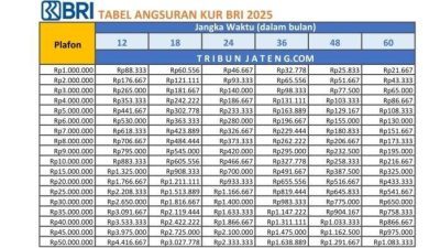 Pinjam Uang Rp40 Juta dengan KUR BRI 2025 untuk Modal Usaha Mudah, Anda Cukup Penuhi Syarat Ini