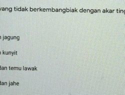 Jawaban: Dua Strategi Utama Menginternalisasi Nilai dalam Pembelajaran