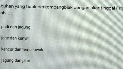 Jawaban: Dua Strategi Utama Menginternalisasi Nilai dalam Pembelajaran