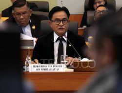 Yusril: Demonstran Ditangkap Karena Pelanggaran Hukum