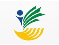 Bocoran: Akses Bansos Kemensos Langsung dari HP, Tanpa Antri!