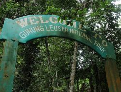 Jangan Asal Mendaki, Ini Daftar Gunung Indonesia Berdasarkan Tingkat Kesulitan