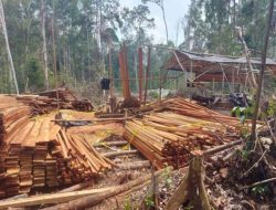 Aziz Wellang Beri Penjelasan Soal Status Tersangka Kasus Illegal Logging