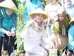 TP PKK Sumsel Bangkitkan Ibu-Ibu Talang Jambe dalam Gerakan Pangan Mandiri