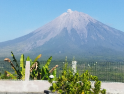 Gunung Semeru Meletus, Petugas Lumajang Laporkan Ketinggian Letusan Mencapai 400 Meter