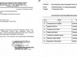 Surat Misterius Sekda Flores Timur: Pemicu Ekonomi atau Strategi Politik?