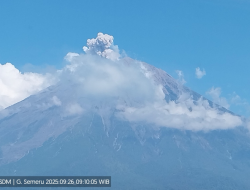 Erupsi Tiga Kali, Ketinggian Letusan Semeru Capai 700 Meter di Puncak Jumat Pagi