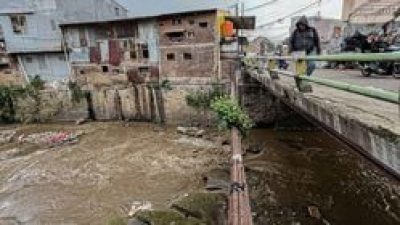 Walhi dan Aktifis Lingkungan Buka Mata tentang Bahaya Sampah, Ini Dampaknya