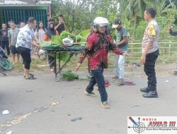 Tragis, Kecelakaan Maut di Baturaja Sungkai Utara, Pengendara Motor Tewas di Tempa