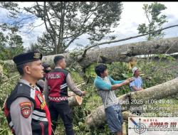 Satsamapta Polres Lampung Barat Evakuasi Pohon Tumbang Timpa Truk Pengangkut Barang