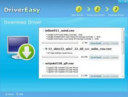 Driver Bank Jateng Bawa Kabur Rp 10 Miliar, Ditangkap Saat Tidur di Rumah Baru