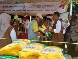 Gerakan Beras Murah Samosir, Pemkab Siapkan 5 Ton Beras