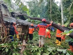 Prakiraan Cuaca Kalsel 29 September 2025: Angin Kencang, Waspadai Banjir dan Pohon Tumbang