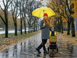 Prakiraan Cuaca Maluku, Kamis 16 Oktober 2025: Semua Wilayah Hujan Ringan, MBD Cerah