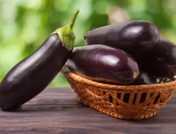 10 Manfaat Terong untuk Kesehatan: Detoks, Jantung, dan Cegah Kanker