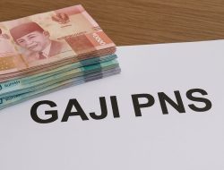 ASN Siap-siap, Gaji 2025 Naik Lagi: Cek Besaran Per Golongan