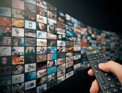 Elon Musk Ajak Boyot Netflix Karena Konten LGBT, Ini Tanggapan Komdigi