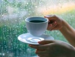 Prakiraan Cuaca BMKG Banyumas Hari Ini, 16 Oktober 2025, Wilayah Hujan Ringan