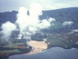 Pemerintah Tetapkan Batas Hutan Hujan Warisan Sumatra, Mengapa Jatam Tak Terkejut?