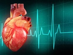 Hari Jantung Sedunia: Strategi Kesehatan yang Efektif