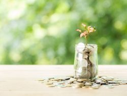 PNGO Bagikan Dividen Rp130 per Saham, Tertinggi Sejak IPO