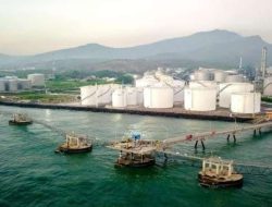 CDIA Kuasai Dua Perusahaan Pelayaran Grup Prajogo Pangestu