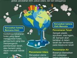 35 Soal Sosiologi SMA 2025 dan Jawaban Tes Akademik Kelas 12