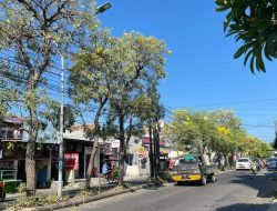 Cuaca Panas Surabaya, Mahasiswa Lebih Sering ke Perpustakaan dan Kafe