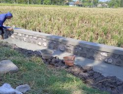 Pemdes Kertajaya Bangun Saluran Irigasi Tingkatkan Pertanian