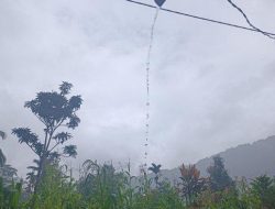 Prakiraan Cuaca NTT, Jumat 17 Oktober 2025: Empat Kota Hujan Sedang