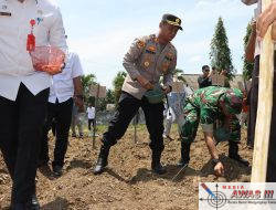 Dukung Swasembada Pangan, Polres Lampung Utara Gelar Penanaman Jagung Serentak Kuartal IV 