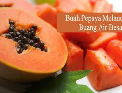 Apakah Pepaya Hanya Bantu Buang Air Besar?