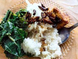 Kisah Kecil untuk Masa Depan Gemilang