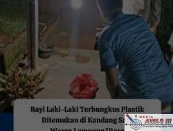 Polisi Selidiki Penemuan Bayi Tanpa Busana di Desa Bojong Barat, Lampung Utara*