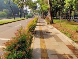 Trotoar Malioboro Bikin Taman Kota Usman Janatin Purbalingga Viral, Kini Ditutup