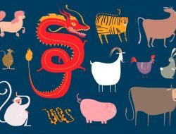 6 shio paling sukses 2026: Prediksi angka 8 dan keberuntungan besar