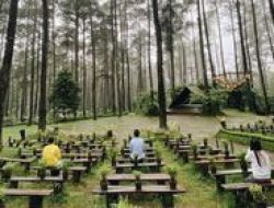 Rekomendasi! Spot Nongkrong Eksotis di Bandung yang Tenangkan Hati