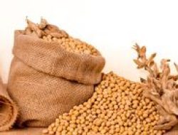 APBN Rentan Terhadap Perubahan Harga Komoditas