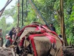 Prasasti Muara Cianten Dipindahkan dari Sungai Cisadane dengan Hati-hati