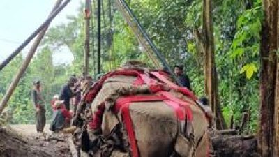 Prasasti Muara Cianten Dipindahkan dari Sungai Cisadane dengan Hati-hati