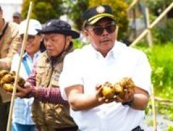 Wujudkan Kesejahteraan Petani, Kementan Terapkan Pertanian Terpadu Hulu-Hilir di Dataran Tinggi